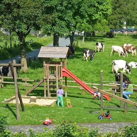 Ferienbauernhof Goerdes Apartman Schmallenberg Kültér fotó