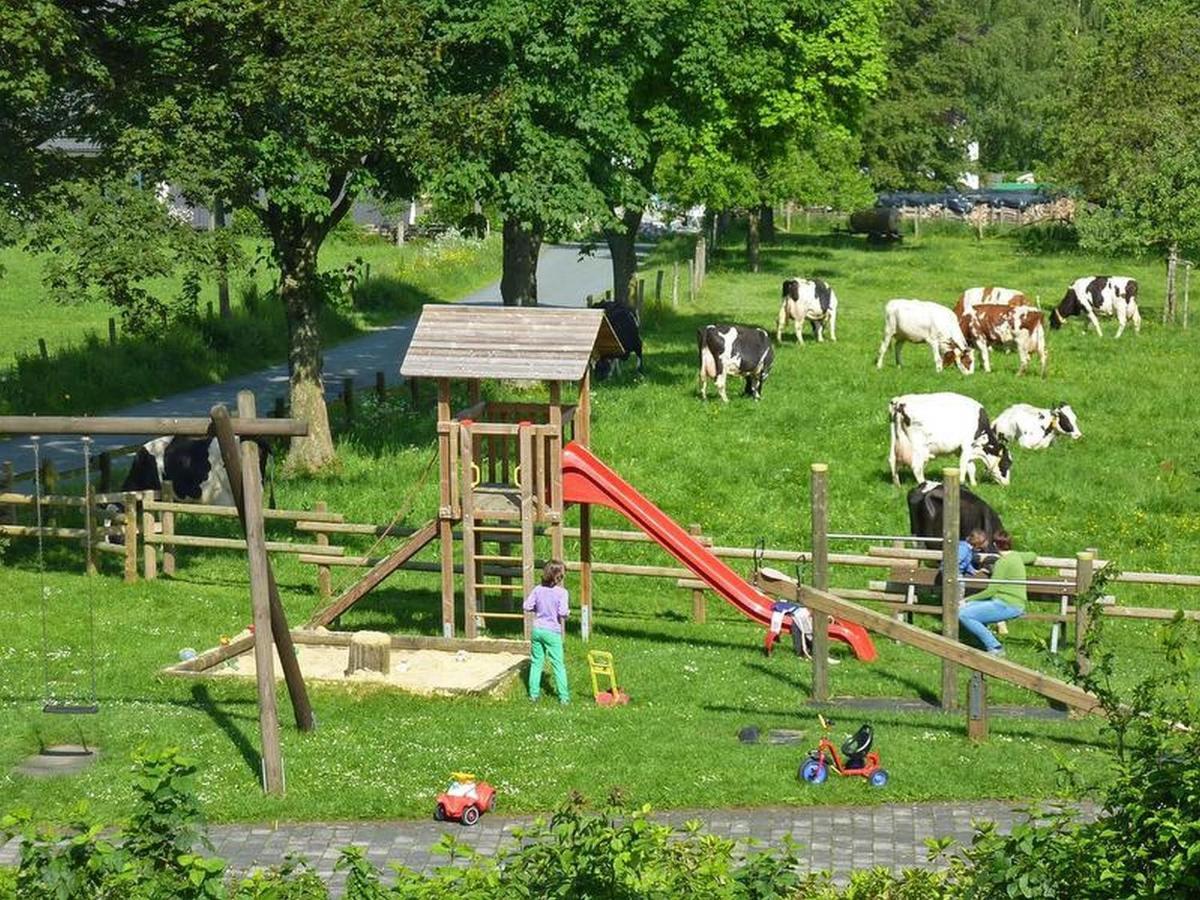 Ferienbauernhof Goerdes Apartman Schmallenberg Kültér fotó