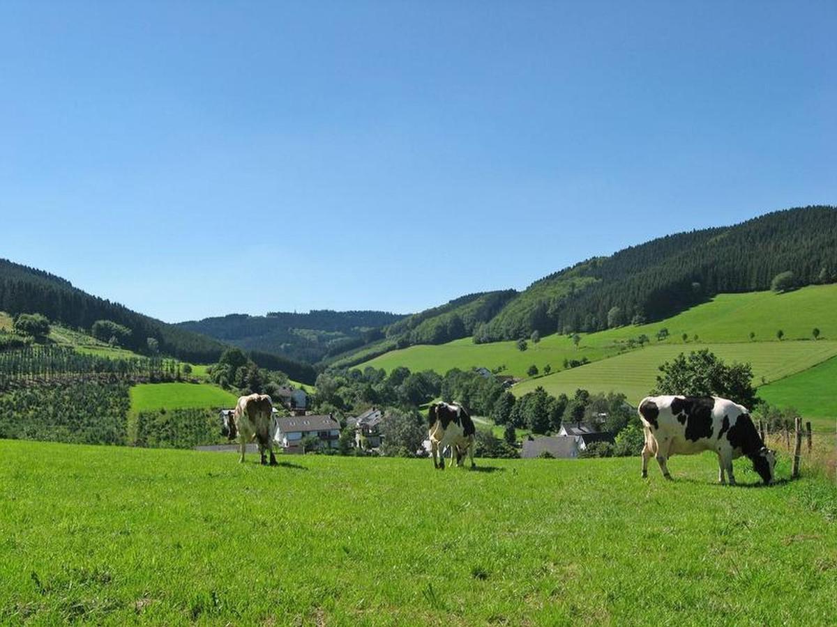 Ferienbauernhof Goerdes Apartman Schmallenberg Kültér fotó