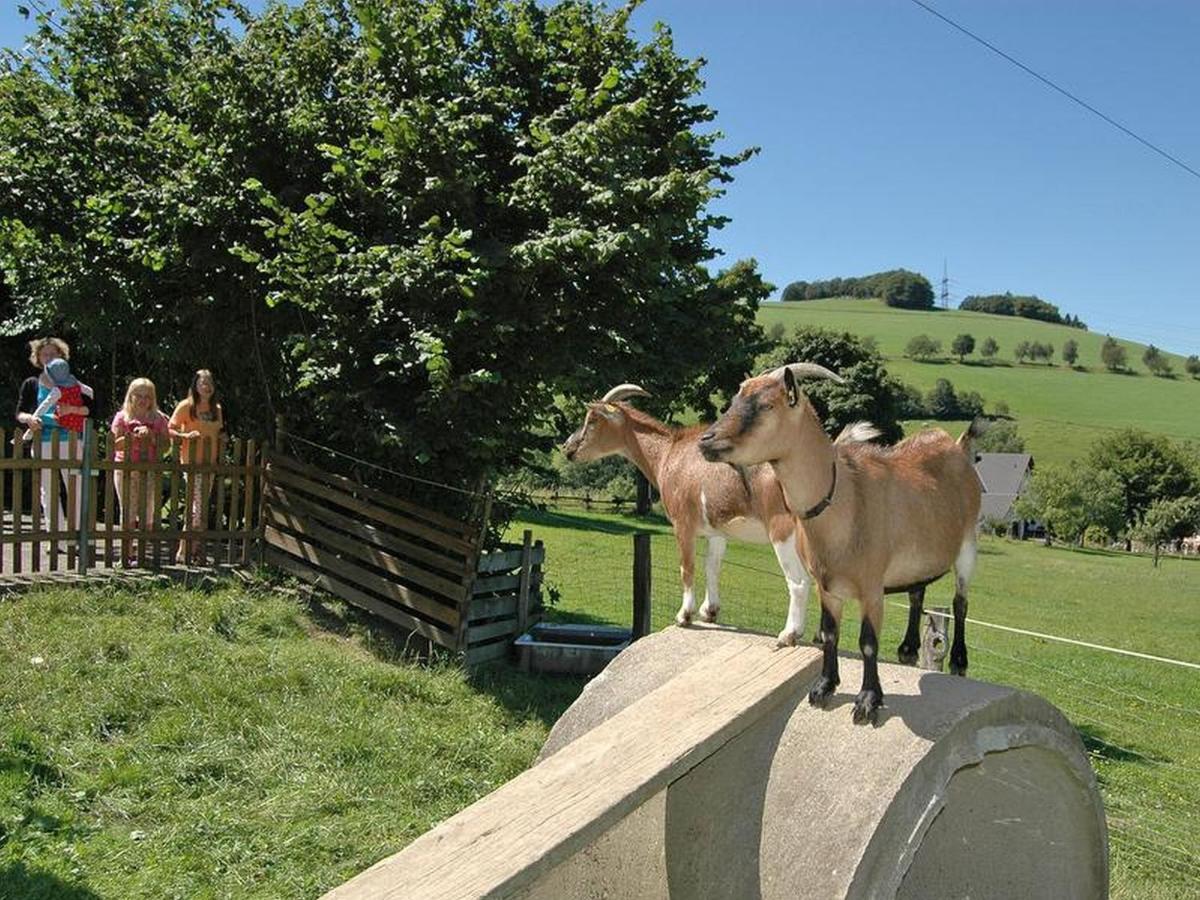 Ferienbauernhof Goerdes Apartman Schmallenberg Kültér fotó