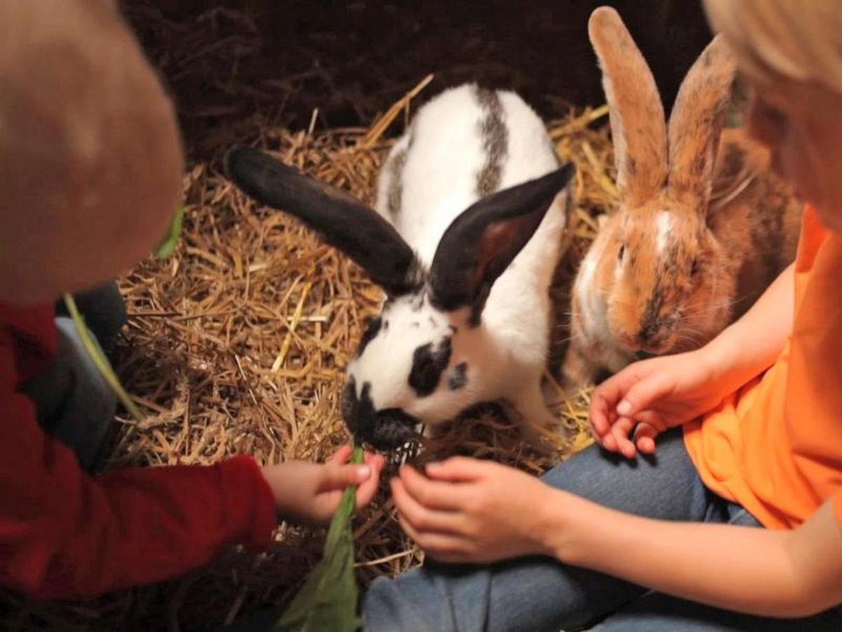 Ferienbauernhof Goerdes Apartman Schmallenberg Kültér fotó